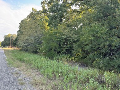 0 R And r Cir unit Lot 13 21047006, Kemp, TX 75143 - photo 3