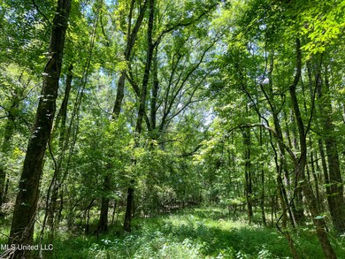 0 Chasewood Dr unit 4115884, Jackson, MS 39212 - photo 4