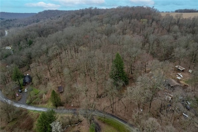 0 Platt Rd, Hanover Township, PA 15026 - photo 4