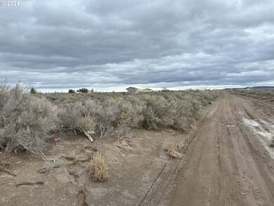 0 E Thorn Ln unit TL 2200 24476925, Christmasvalley, OR 97641 - photo 3