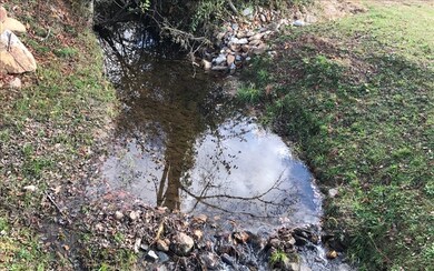 Additional View