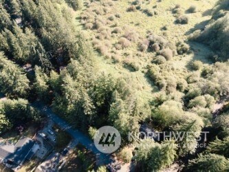 17708 Vine Ln SE, Yelm, WA 98597 - photo 5