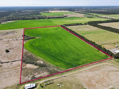 5872 S State Hwy 99, McDavid, FL 32568 - photo 4