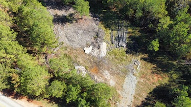 0 Turner Rd, Dadeville, AL 36853 - photo 4