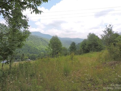 TBD Green Leaf Rd, Burnsville, NC 28714 - photo 4