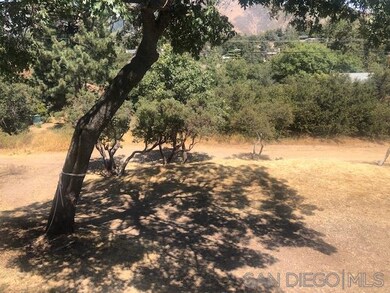 1043 Chapin Dr, Julian, CA 92036 - photo 4