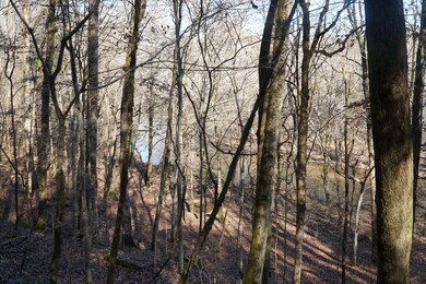 0, Hodges, AL 35571 - photo 4