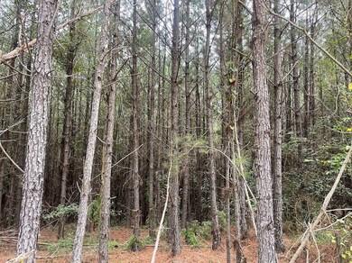 00 K T Rd, Carthage, MS 39051 - photo 5