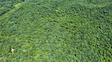 Photo Jul 10 2023, 2 16 16 PM