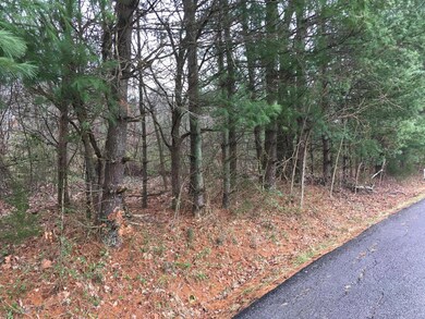 00 Dogwood Hills Rd, Fall Branch, TN 37656 - photo 4