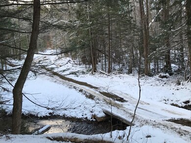 11 Conner Pond Rd, Center Ossipee, NH 03814 - photo 5