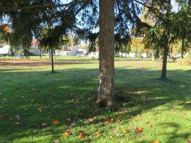 135 S Elm St, Jefferson, OH 44047 - photo 4