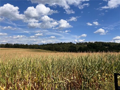 82 Mowry Rd, Clarksburg, PA 15725 - photo 3