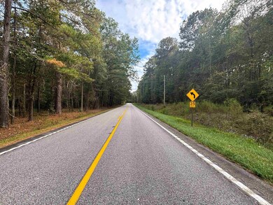 0 Marlboro Way, Bennettsville, SC 29512 - photo 3