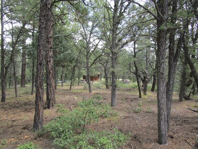 33024 Ponderosa Ridge Dr, Trinidad, CO 81082 - photo 7