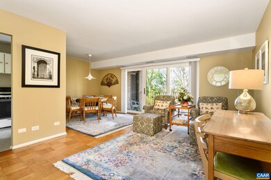 511 1st St N unit 509, Charlottesville, VA 22902 - photo 2