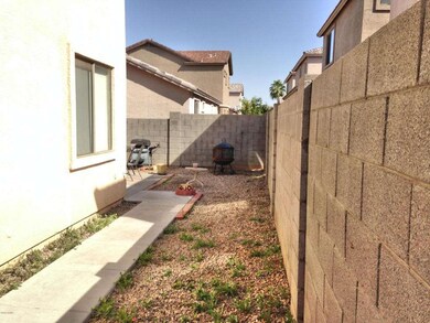 back yard