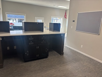 320 N Main St, Roanoke, IL 61561 - photo 7