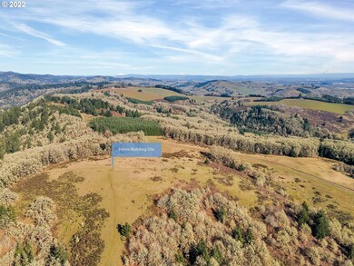 17000 SW Sunnyridge Ln, Sheridan, OR 97378 - photo 2