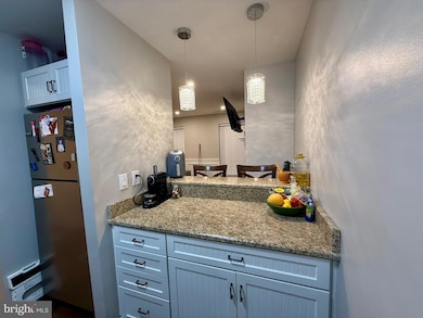 16 Andrew Place, Baltimore, MD 21201 - photo 7