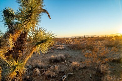 View of nature at dusk