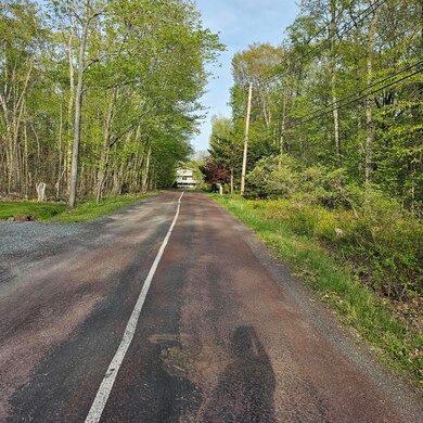 130 Wagner Way, Pocono Lake, PA 18347 - photo 7