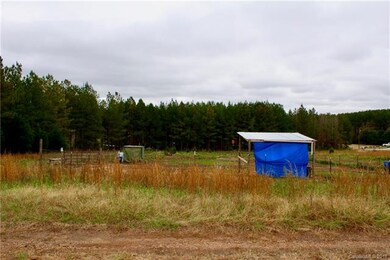 136 Pinetree Ln, Rutherfordton, NC 28139 - photo 3