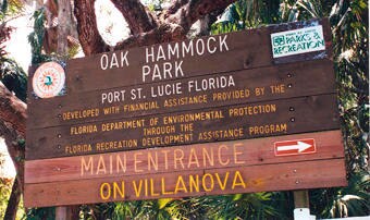 OAK HAMOCK