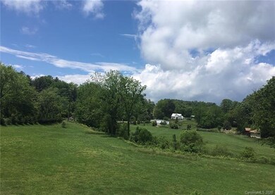 895 Old Leicester Hwy, Asheville, NC 28806 - photo 5