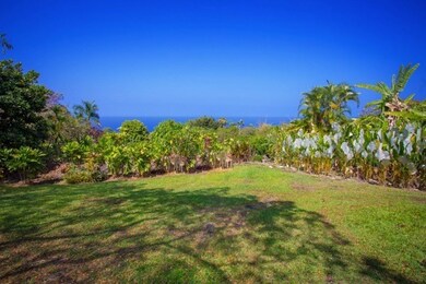 Manicured mature stands of exotic tropical flowers