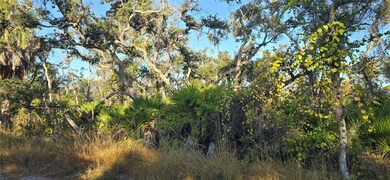 0 Lemon Ave unit MFRD6144885, Englewood, FL 34223 - photo 2