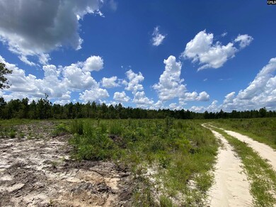 00 Bub Shumpert Rd, Pelion, SC 29123 - photo 5