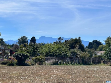 9999 Thornton Dr, Sequim, WA 98382 - photo 2