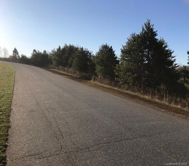 Lot 23 Vance Farm Dr unit 23, Sharpesburg, NC 28625 - photo 3