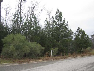 Wonderful lot with views of Lake Tuscaloosa