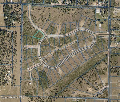 Aerial Map (2)