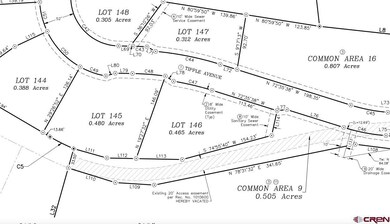 146 Tipple Ave, Durango, CO 81301 - photo 7