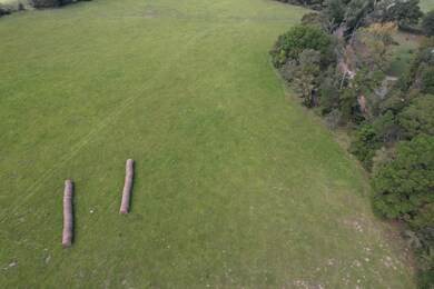 TBD-A County Road 435, Frankston, TX 75763 - photo 6