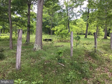 7624 Snowy Mountain Rd, Circleville, WV 26804 - photo 4