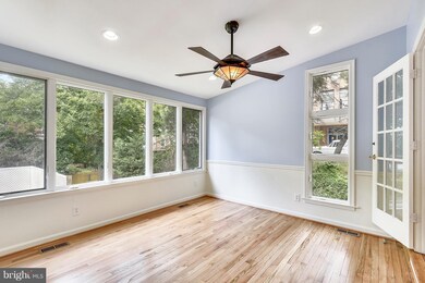 7404 New Hampshire Ave, Takoma Park, MD 20912 - photo 6