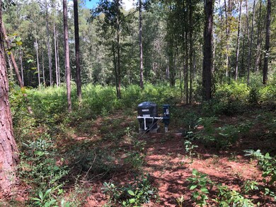 0 Stonecypher Rd, Lucedale, MS 39452 - photo 7