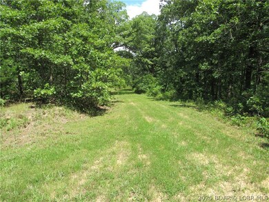 cleared path/road going through property.