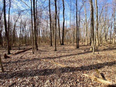 ac Goodwin Schoolhouse Point Isabel Rd, Franklin Township, OH 45106 - photo 6
