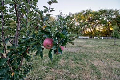 unlisted-address, Cornville, AZ 86325 - photo 5