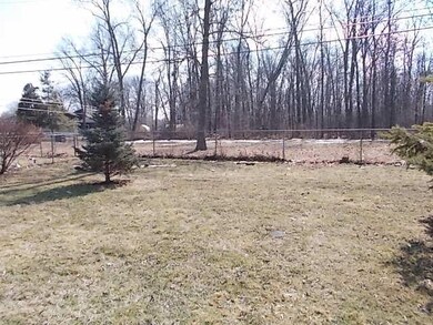 Back Yard 1