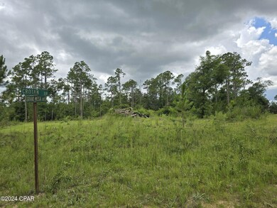 000 Crotan Dr, Alford, FL 32420 - photo 4