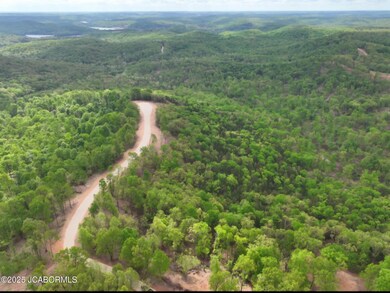 Lot 3 State Aa Rd, Roach, MO 65787 - photo 7