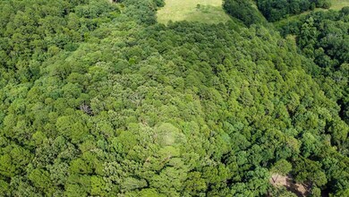 7.1 Highway 59, Jay, OK 74346 - photo 3