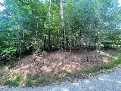 Lot 3279 Haven Ct, Ellijay, GA 30540 - photo 6