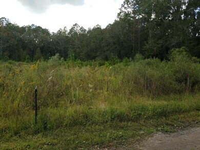 0 Spring Dr unit 905141, Middleburg, FL 32068 - photo 2